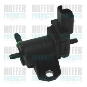 Compre Conversor de pressão, turbocompressor da HOFFER 8029245 a um preço baixo por 30,55 €