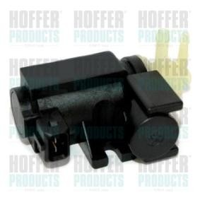 Acquista Convertitore pressione, Controllo gas scarico da HOFFER 8029316 a buon mercato per soli 61,64 €