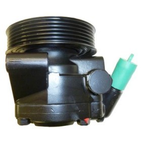 Achetez des Pompe de direction assistée LIZARTE 04.30.1430-1 à prix pour 256,55 €