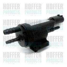 Comprar Válvula, AGR control de gases de escape de HOFFER 8029394 a bajo precio de 48,20 €