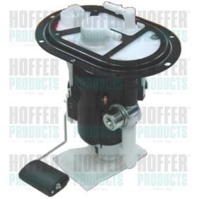 Achetez des Unité d'injection de carburant HOFFER 7506969 à prix pour 243,71 €
