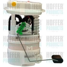 Achetez des Unité d'injection de carburant HOFFER 7507280 à prix pour 101,30 €