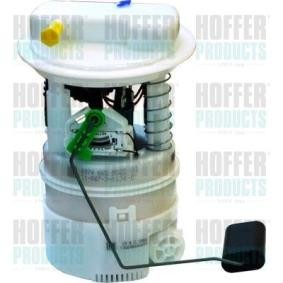 Achetez des Unité d'injection de carburant HOFFER 7507281 à prix pour 255,34 €