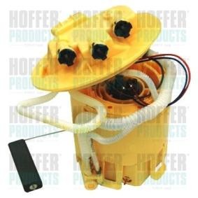 Achetez des Unité d'injection de carburant HOFFER 7507336 à prix pour 169,85 €