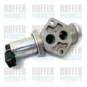 Køb Tomgangsregulator af HOFFER 7515038 til den lave pris 2135,17 DKK