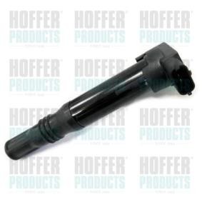 Köp Tändspole av HOFFER 8010766 till det låga priset 1011,59 kr