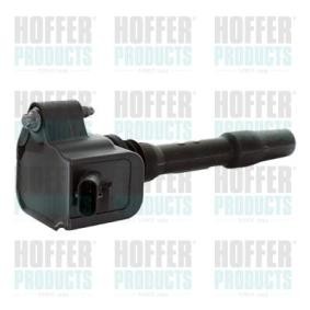 Köp Tändspole av HOFFER 8010769 till det låga priset 840,66 kr