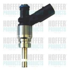 Acquista Iniettore da HOFFER H75117124 a buon mercato per soli 216,12 €