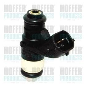 Compre Injector da HOFFER H75117164 a um preço baixo por 221,20 €
