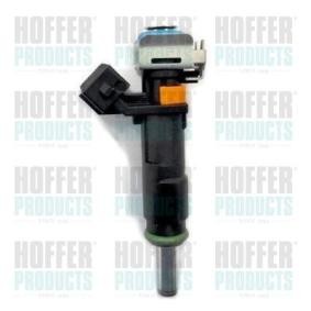Acquista Iniettore da HOFFER H75117770 a buon mercato per soli 117,87 €