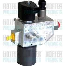 Achetez des Gicleur, injection HOFFER H13102 à prix pour 783,96 €