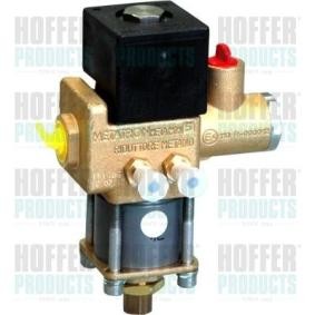 Achetez des Gicleur, injection HOFFER H13104 à prix pour 831,32 €