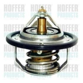 Achetez des Thermostat d'eau HOFFER 8192140 à prix pour 13,62 €