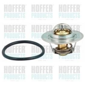 Achetez des Thermostat d'eau HOFFER 8192184 à prix pour 22,48 €