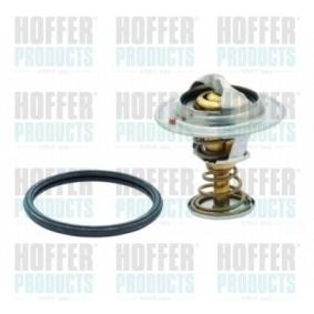Achetez des Thermostat d'eau HOFFER 8192259 à prix pour 19,74 €