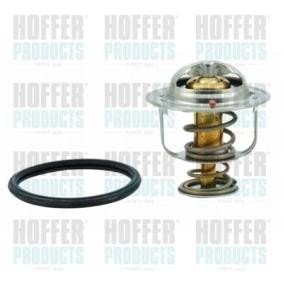 Achetez des Thermostat d'eau HOFFER 8192331 à prix pour 22,20 €