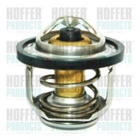 Achetez des Thermostat d'eau HOFFER 8192341 à prix pour 19,01 €