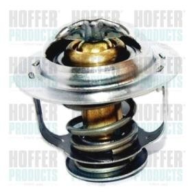 Achetez des Thermostat d'eau HOFFER 8192379 à prix pour 33,47 €