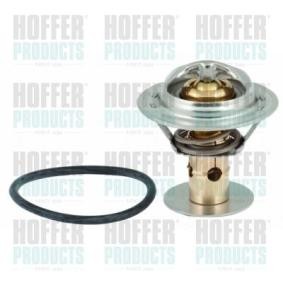 Achetez des Thermostat d'eau HOFFER 8192419 à prix pour 45,95 €