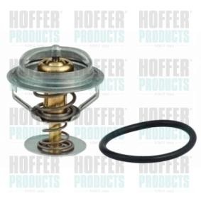 Achetez des Thermostat d'eau HOFFER 8192521 à prix pour 22,48 €
