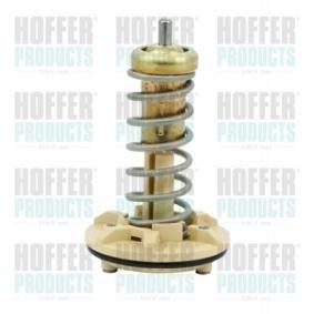 Achetez des Thermostat d'eau HOFFER 8192618 à prix pour 22,46 €