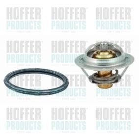 Achetez des Thermostat d'eau HOFFER 8192633 à prix pour 19,40 €