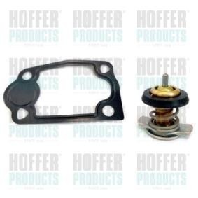 Achetez des Thermostat d'eau HOFFER 8192678 à prix pour 69,79 €