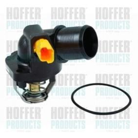 Achetez des Thermostat d'eau HOFFER 8192713 à prix pour 39,46 €