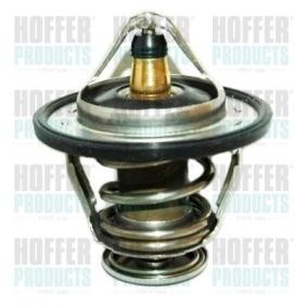 Achetez des Thermostat d'eau HOFFER 8192733 à prix pour 22,14 €