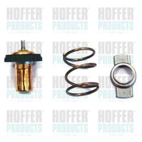 Achetez des Thermostat d'eau HOFFER 8192769IN à prix pour 66,82 €