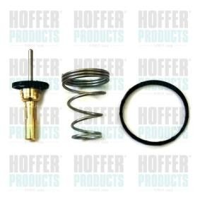 Comprar Termostato, refrigerante de HOFFER 8192780 a bajo precio de 48,77 €