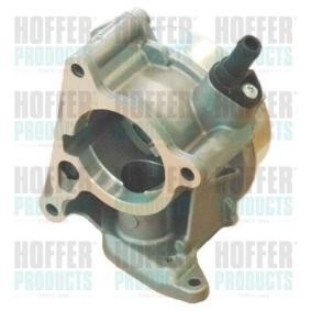 Achetez des Pompe à vide de freinage HOFFER 8091102 à prix pour 260,82 €