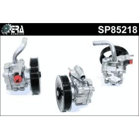 Servopumpe SP85218