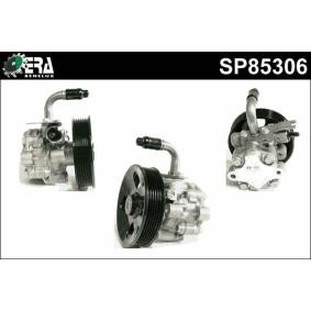 Servopumpe SP85306