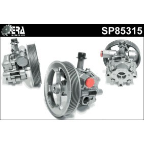 Servopumpe SP85315