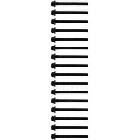 Compre Jogo de parafusos da cabeça do motor da REINZ 14-10598-01 a um preço baixo por 70,93 €