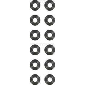 Comprar Juego de juntas, vástago de válvula de REINZ 12-10493-01 a bajo precio de 25,88 €