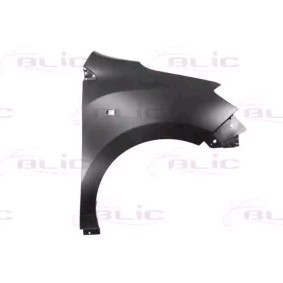 Kotflügel 6504-04-1310312P von BLIC günstig für 113,85 € online kaufen