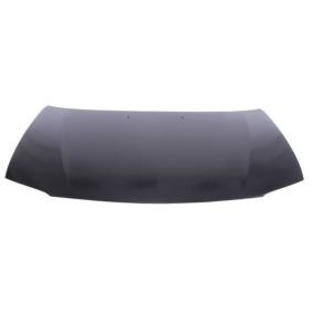 Motorhaube 6803-00-3407280P