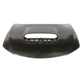 Motorhaube 6803-00-6734281P