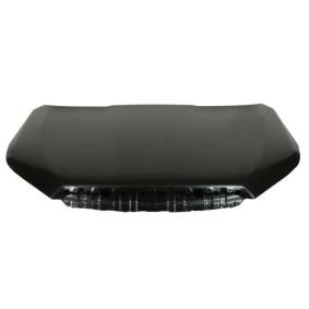 Motorhaube 6803-00-6738280P