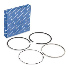 Acquista Kit fasce elastiche da KOLBENSCHMIDT 800077910000 a buon mercato per soli 20,96 €