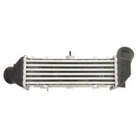Osta Nestesäiliö, jäähdytysneste THERMOTEC:llä DBF003TT edullisesti hintaan 27,25 €