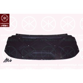Motorhaube 2530282A1