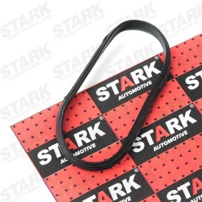 Ansaugkrümmerdichtung SKGI-0710058 BMW Z3 von STARK