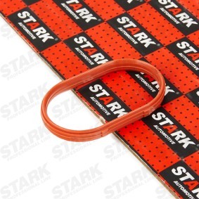 Ansaugkrümmerdichtung SKGI-0710099
