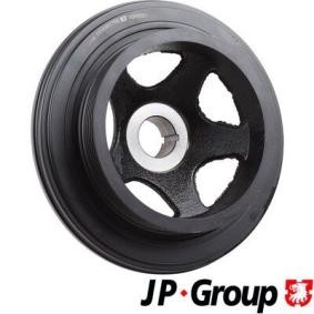 Achetez des Poulie damper (vilebrequin) JP GROUP 1318301700 à prix pour 74,01 €