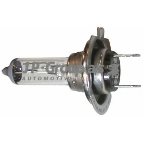 Compre Lâmpada, farol principal da JP GROUP 8195901000 a um preço baixo por 4,54 €