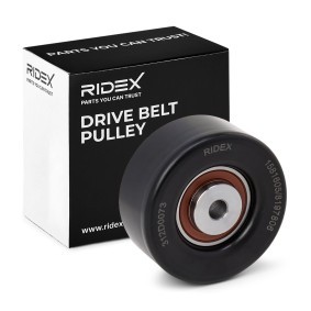 Achetez des Galet enrouleur de courroie d'accessoire RIDEX 312D0073 à prix pour 36,45 €