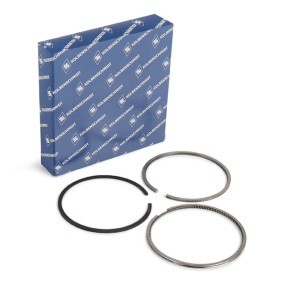 Acquista Kit fasce elastiche da KOLBENSCHMIDT 800001110050 a buon mercato per soli 22,53 €